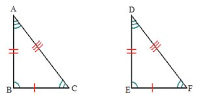 Triangles and Congruence Worksheets